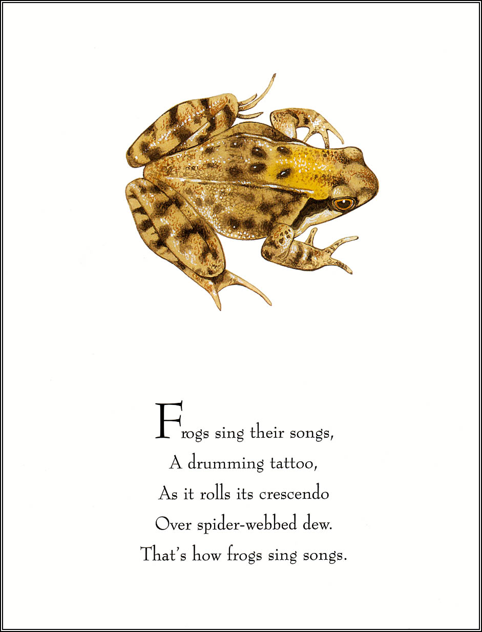 Frogs Sing Songs (04),绘本,绘本故事,绘本阅读,故事书,童书,图画书,课外阅读